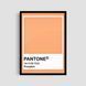 Постер "Pantone Pumpkin" txr012_pantone_pumpkin_white_antiblik_a1 фото