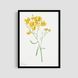 Постер "Yellow Blooms" flw005_yellow_blooms_white_antiblik_a1 фото