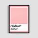 Постер "Pantone Pink" txr010_pantone_pink_white_antiblik_a1 фото