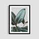 Постер "Foliage Focus" flw030_foliage_focus_white_antiblik_a1 фото
